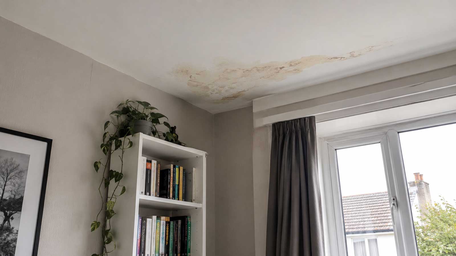 Illustration relating to roof leak troubleshooting in blackburn
