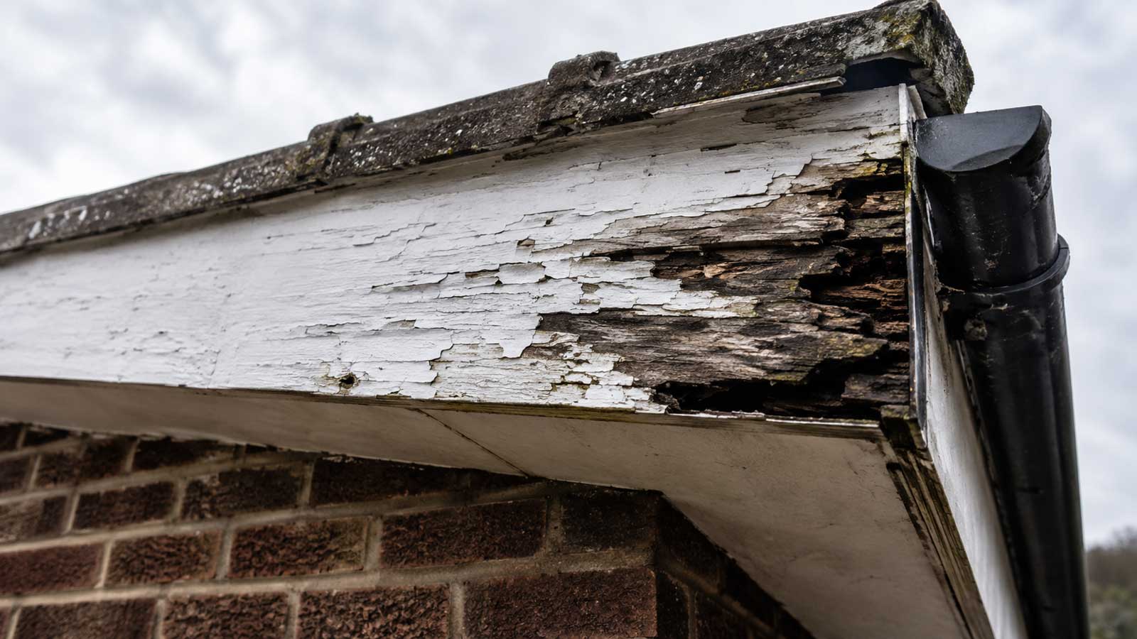 Illustration relating to rotten fascia boards and roof-edge leaks in blackburn